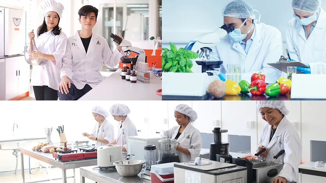 9 Universitas Terbaik untuk Prodi Teknologi Pangan di Indonesia